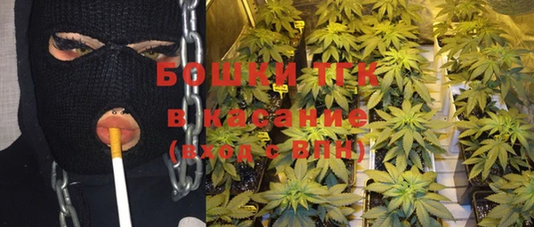 стаф Балахна