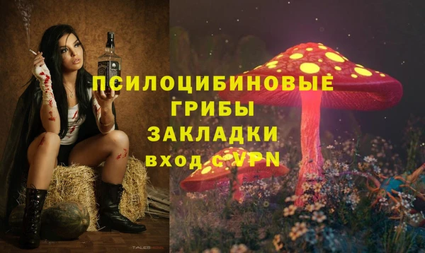эйфоретик Белокуриха