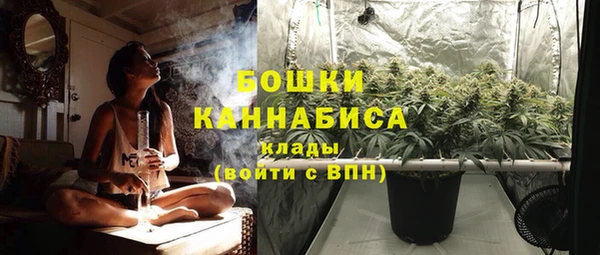 эйфоретик Белокуриха