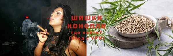 мдпв Магас