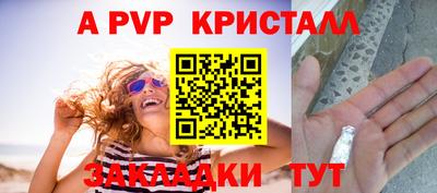 шишки Нальчик