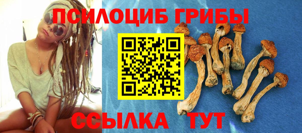 Армавир  Псилоцибиновые грибы мицелий  Вход с VPN  Галлюциногенные грибы MAGIC MUSHROOMS 
